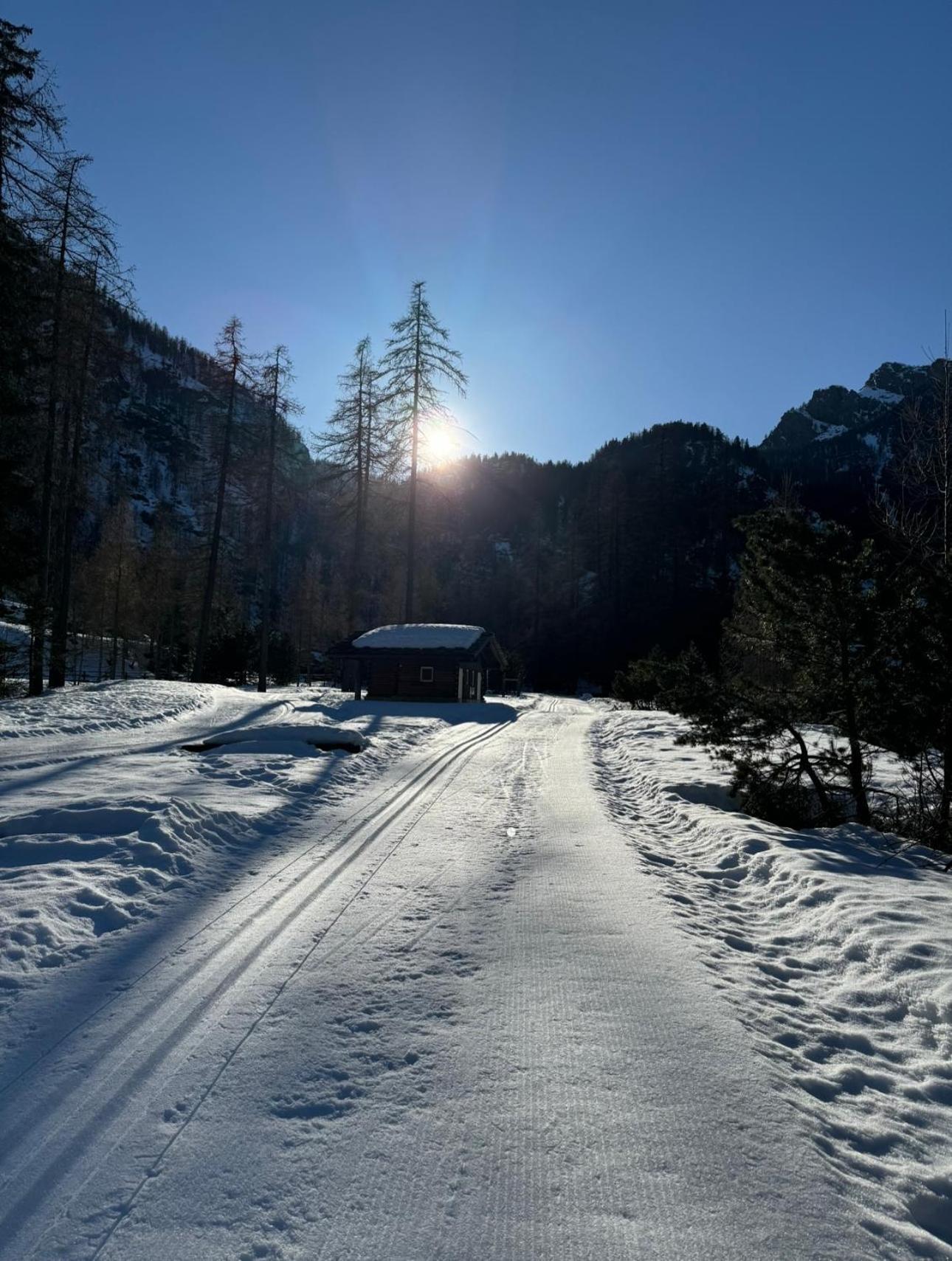 Il Castello Nel Bosco, Appartamento Torrente Champorcher Exterior foto