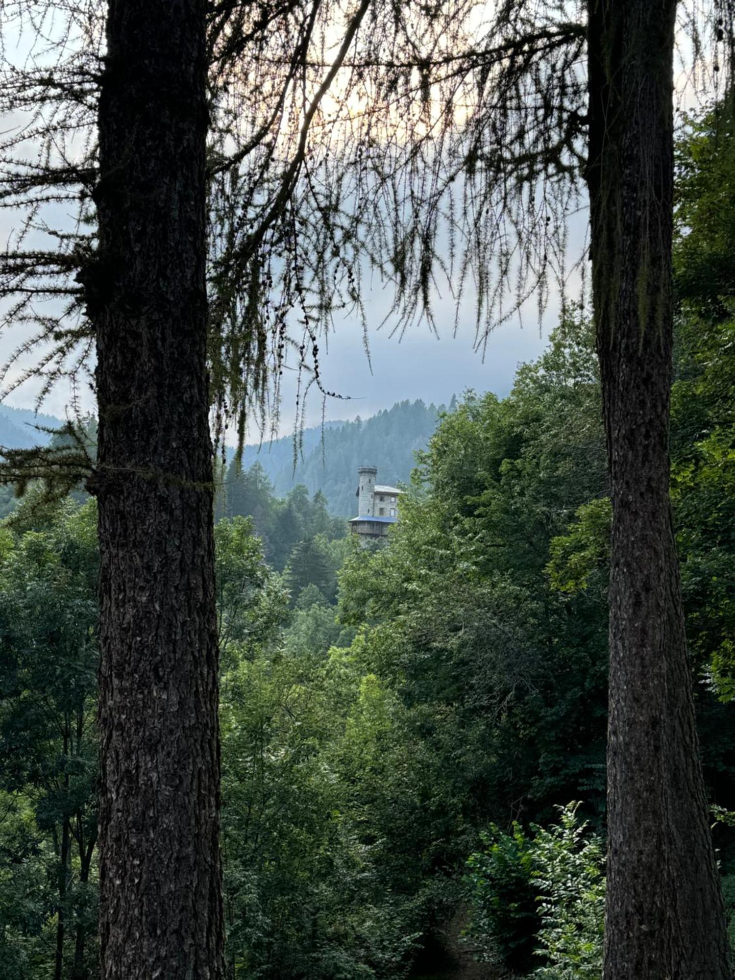 Il Castello Nel Bosco, Appartamento Torrente Champorcher Exterior foto